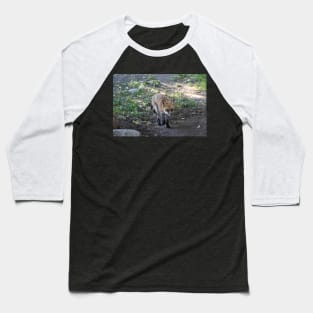 Shedding Red Fox Baseball T-Shirt